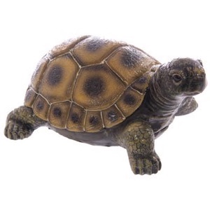 Skildpadde h:10cm b:17cm l:23cm
